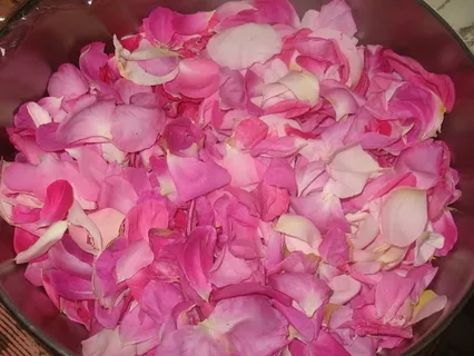 تصویر 4 از خرید و قیمت گلاب طبیعی + فروش عمده